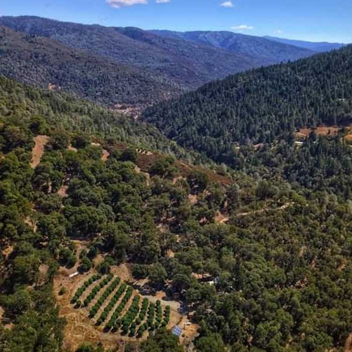 Aerial view of a small farm among forested Mendocino mountains